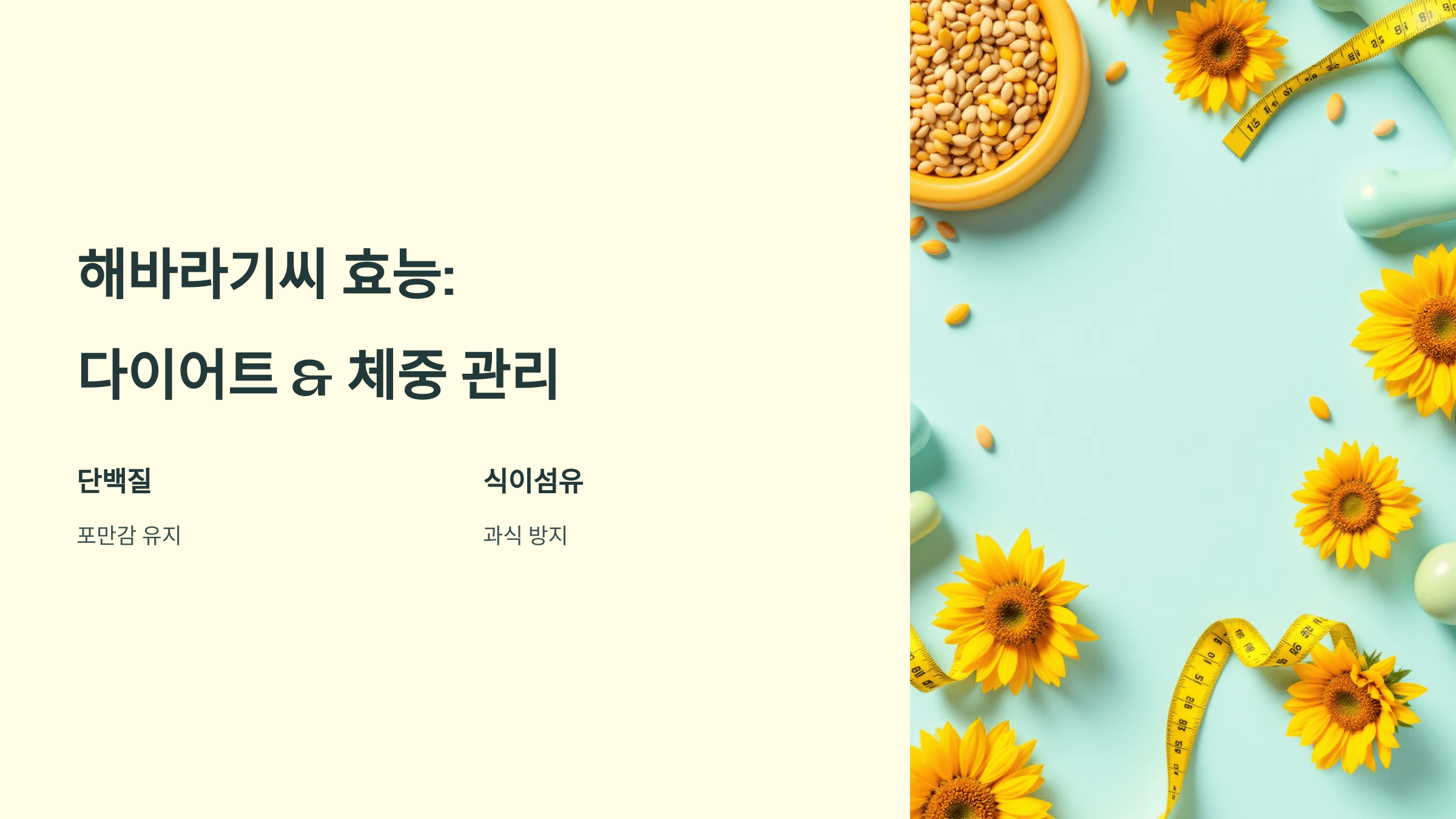 해바라기씨 사진입니다.