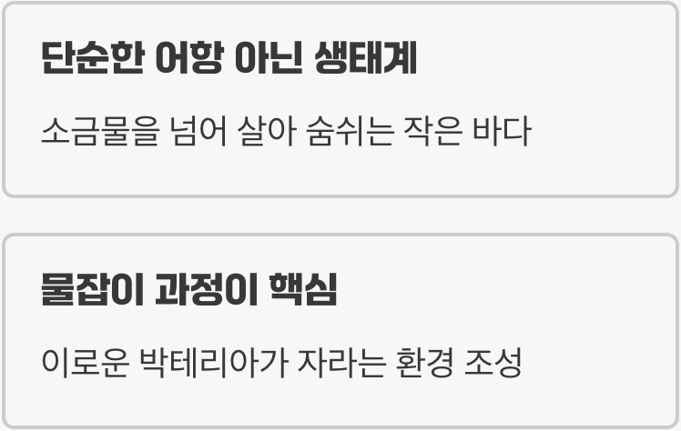 민물과 바다, 무엇이 다를까?