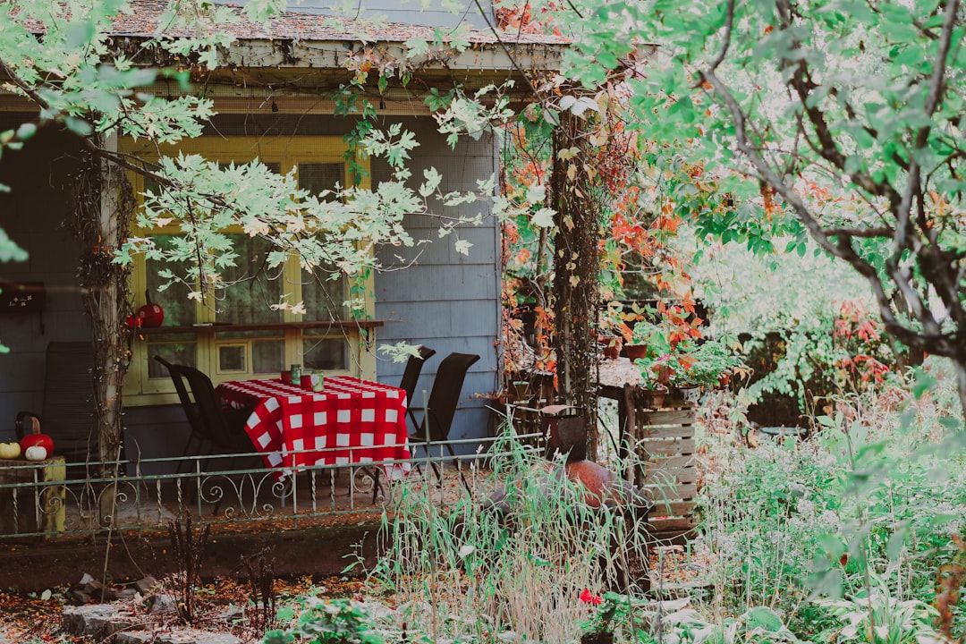 Dining set