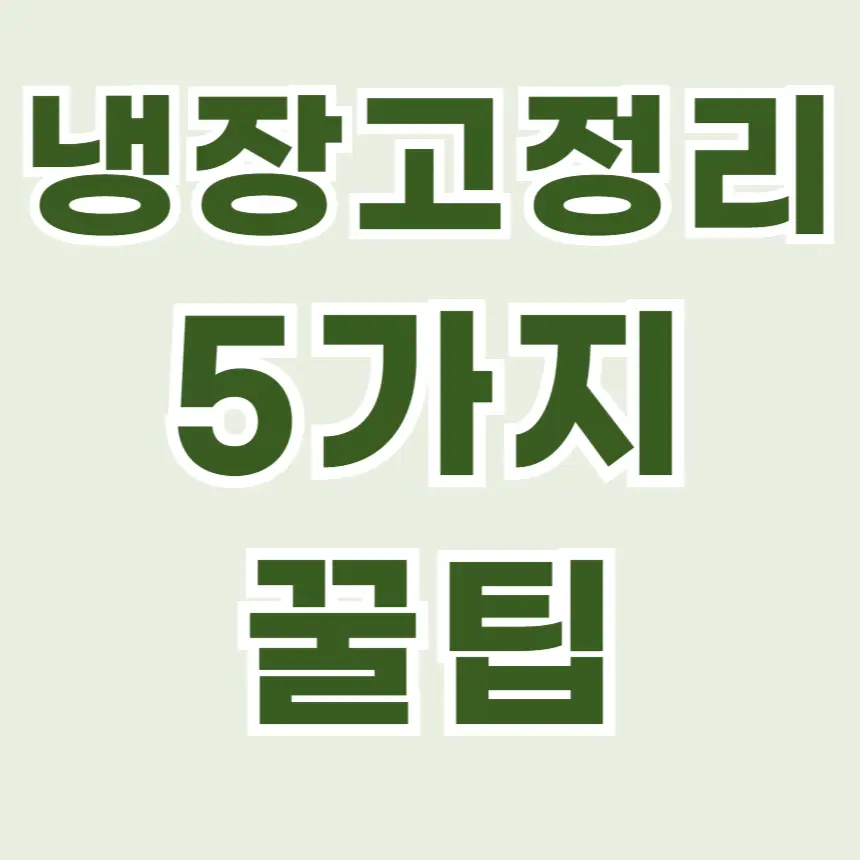 냉장고 정리 꿀팁, 전기세 절약방법