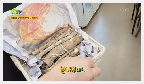 엄나무 사진입니다.