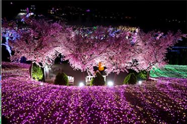 겨울여행 크리스마스여행 청도프로방스빛축제