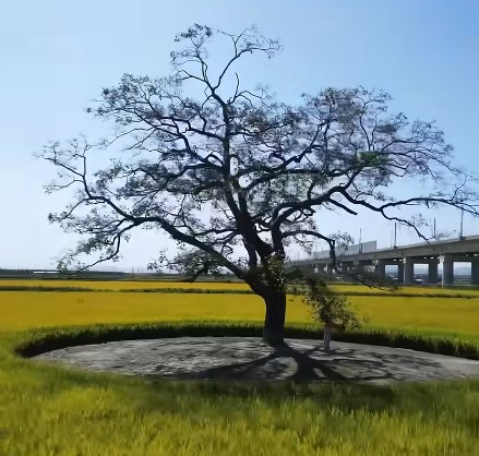 충남 당진 가볼만한곳 베스트 10 - 부모님과 함께하는 1박2일 당진 여행코스