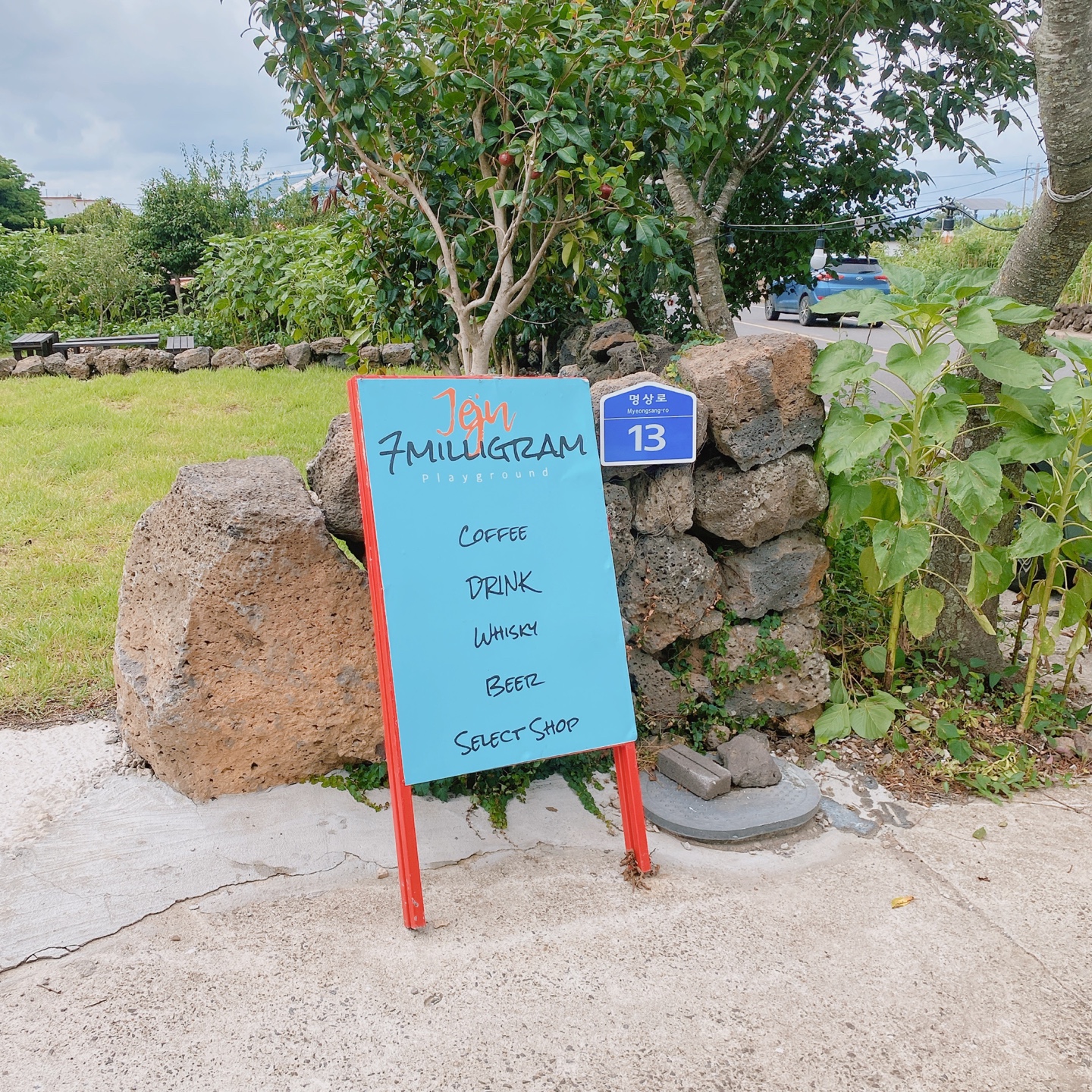 제주 한림 우리들의블루스 7밀리그램