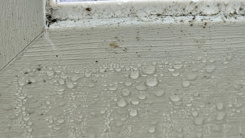 아파트 현관 결로1