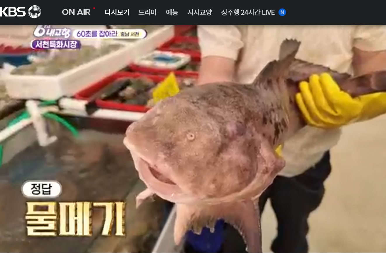 12월 19일 방송된 [ 시장&amp;#44; 물메기 및 백합&amp;#44; 반건조생선&amp;#44; 주꾸미 - 충남 서천 ] 관련 정보입니다