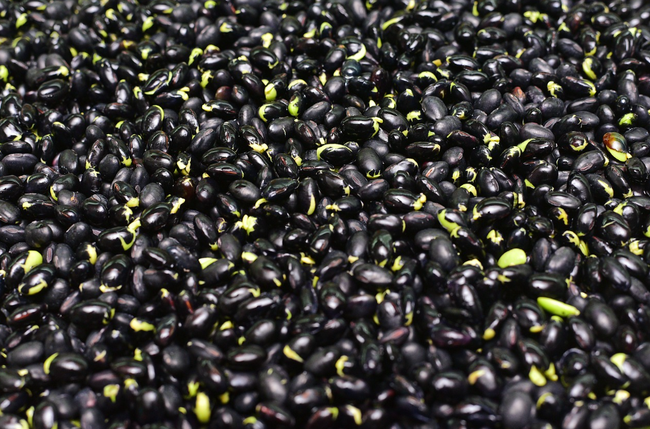 작지만 강한 슈퍼푸드, 검은콩의 모든 것
