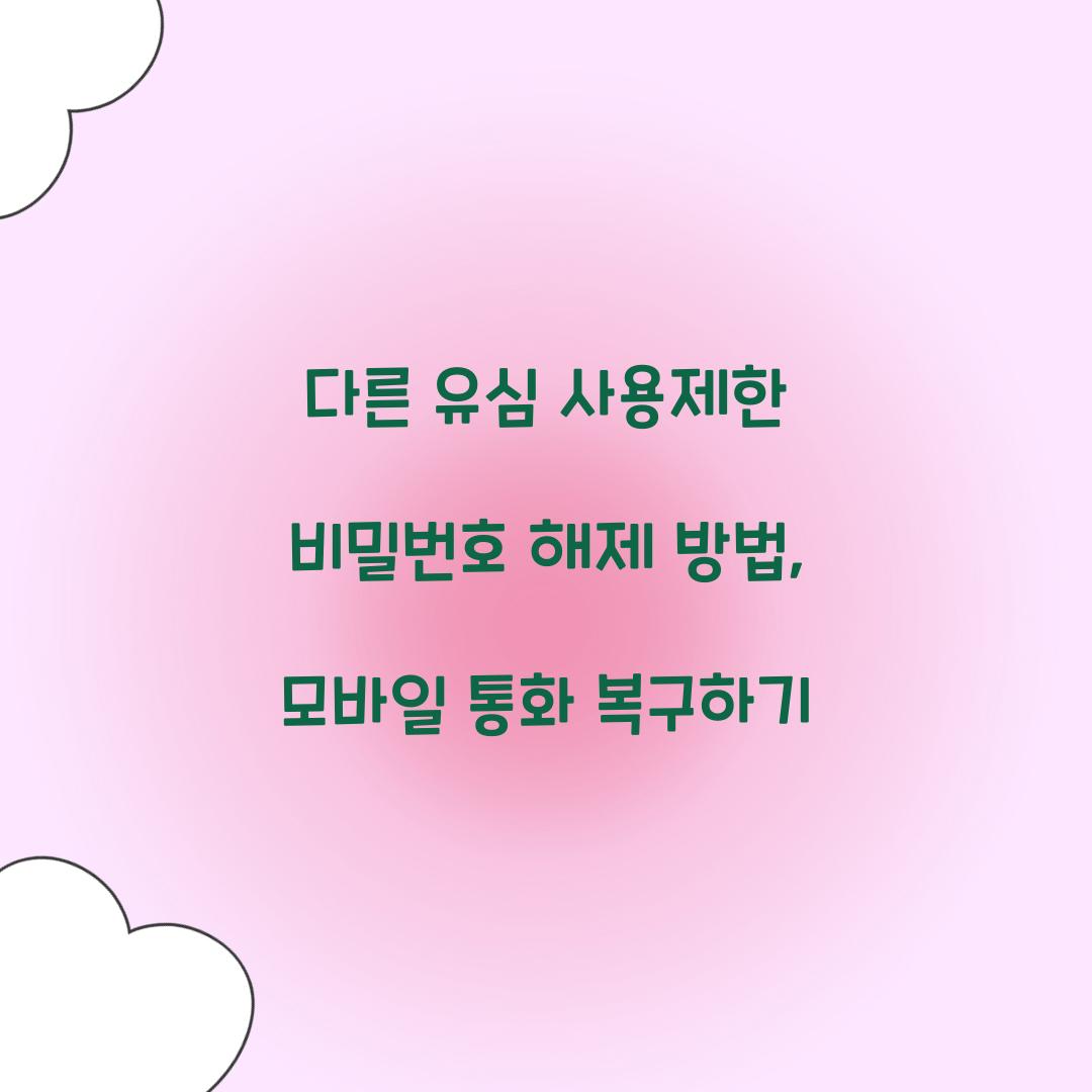 다른 유심 사용제한 비밀번호