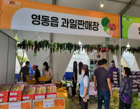 영동포도축제_12