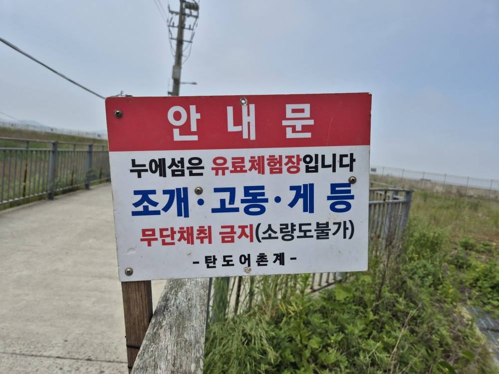 탄도 갯벌체험 안내문