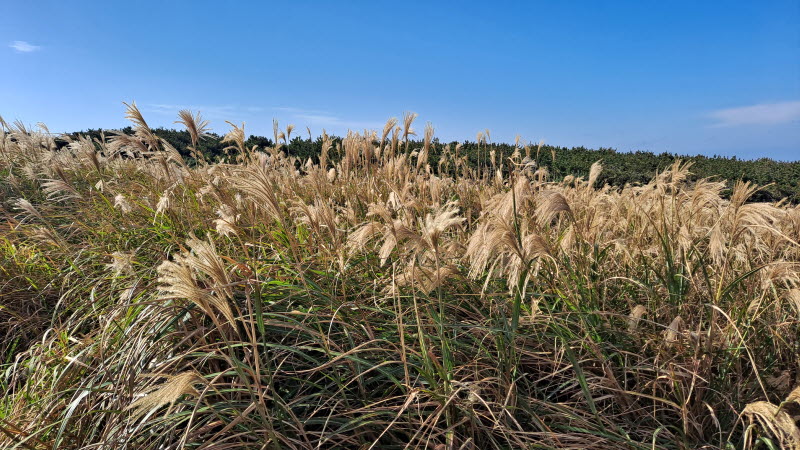 제주여행_마라도
