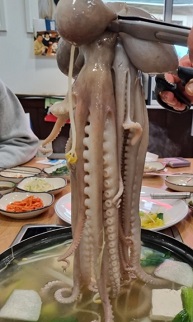 산낙지볶음