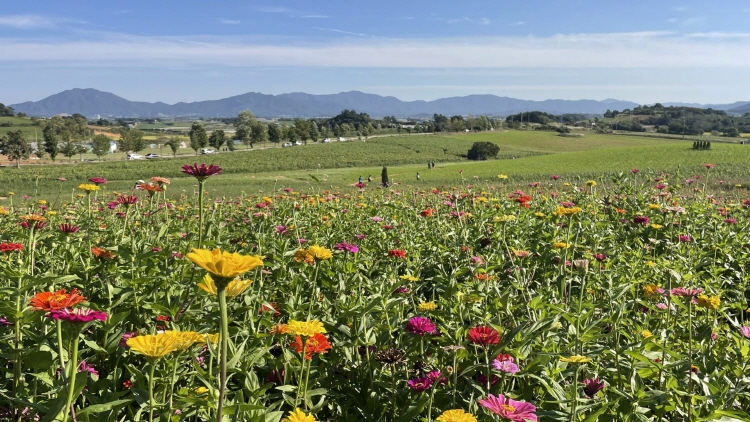 보리나라 학원농장