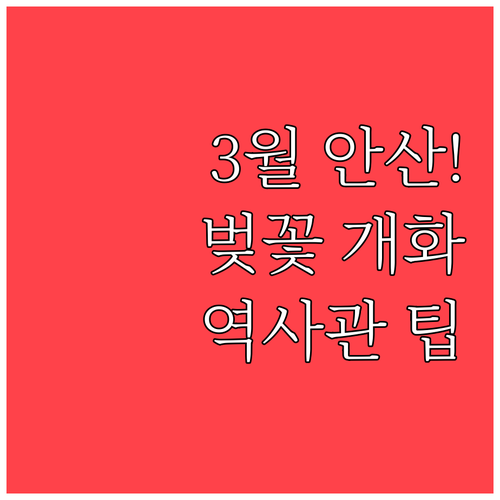 3월 서대문구 여행 안산 자락길 벚꽃..