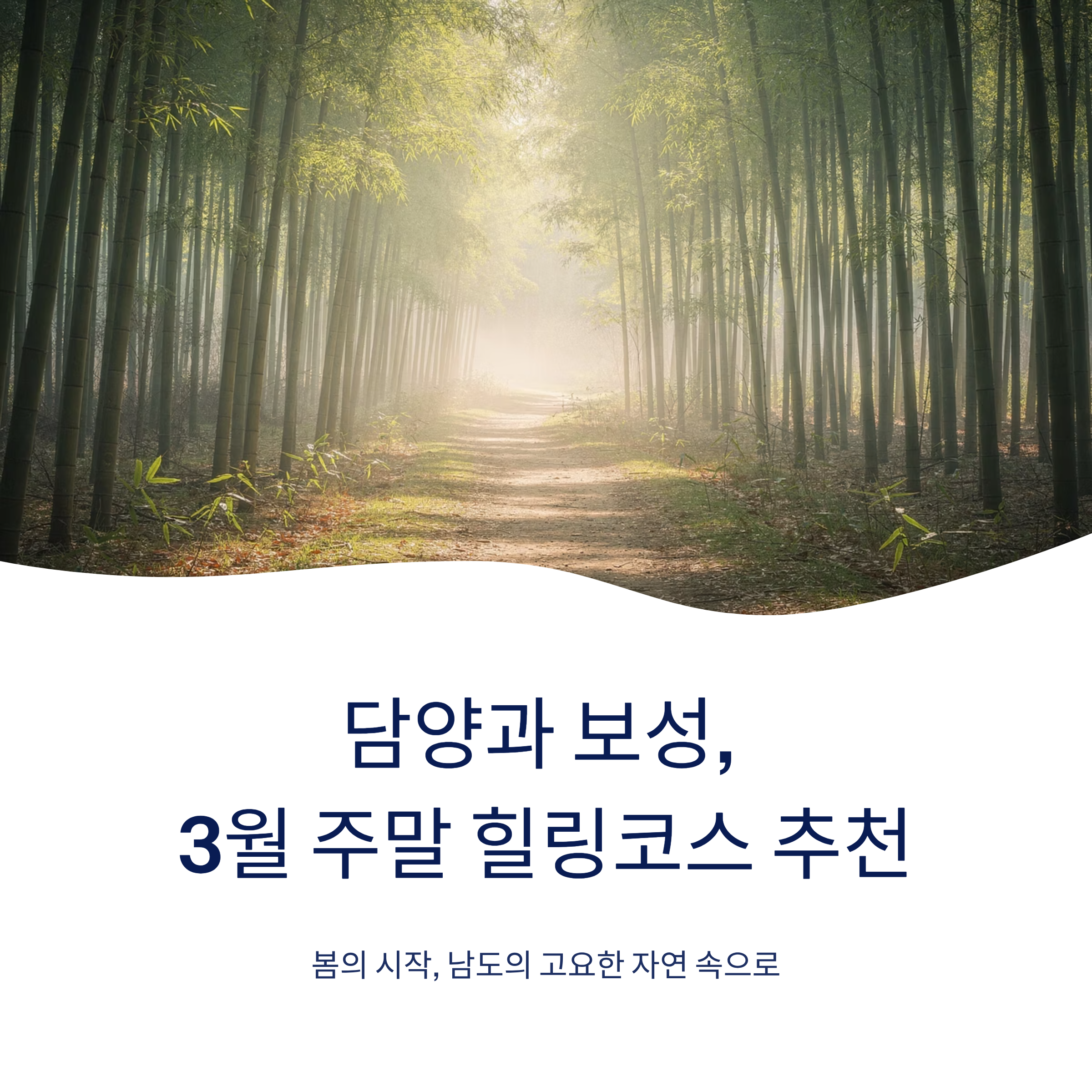 담양과 보성, 3월 주말 힐링코스 추천