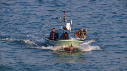 전현무계획2 강원도 강릉 자연산 잡어회 & 짬뽕물회 맛집 영동횟집 전현무계획 30회