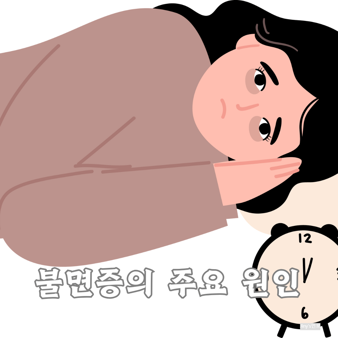 불면증의 주요 원인