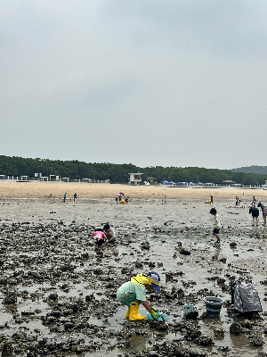 아이와 갯벌에서 만난 게와 소라게를 관찰하는 모습