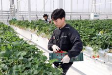 청년 월세 지원