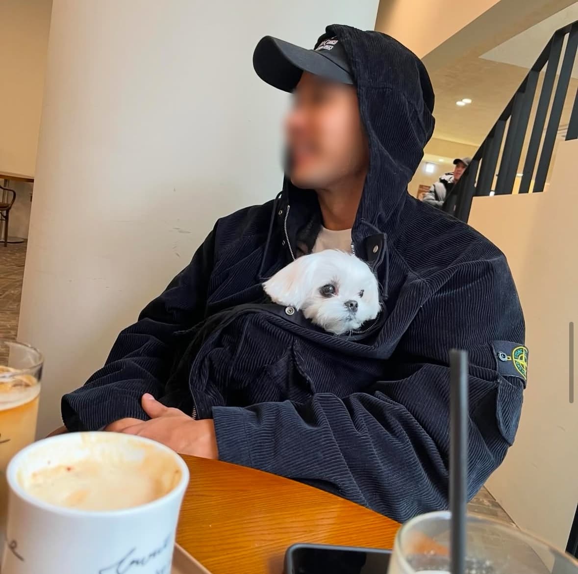 의외로 고학력이라 놀라운 연예인.jpg