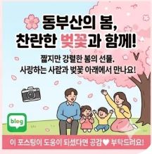 동부산 벚꽃 명소 BEST 4