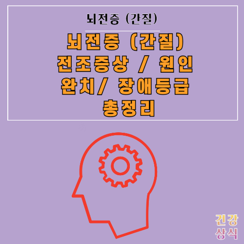 뇌전증 (간질) 전조증상 원인 완치 장애등급 총정리