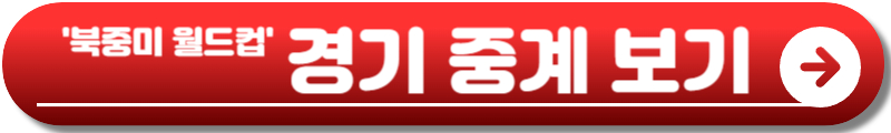 월드컵 32강 대진표