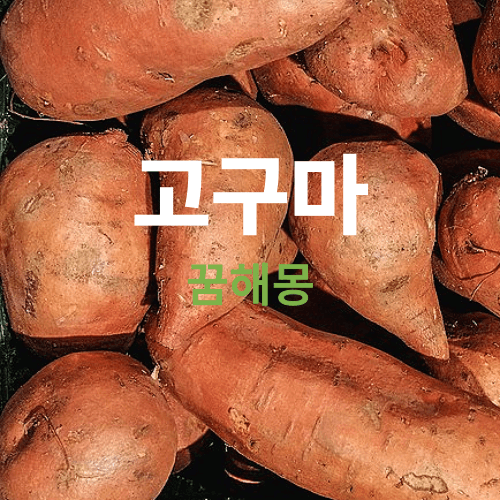 고구마 꿈해몽,꿈에 고구마가 나오면 태몽입니다, 그리고 길몽 흉몽도 확인 해보세요.