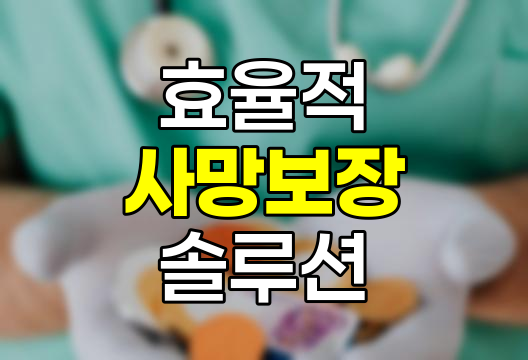 신한인터넷정기보험, 효율적 사망보장 솔루션
