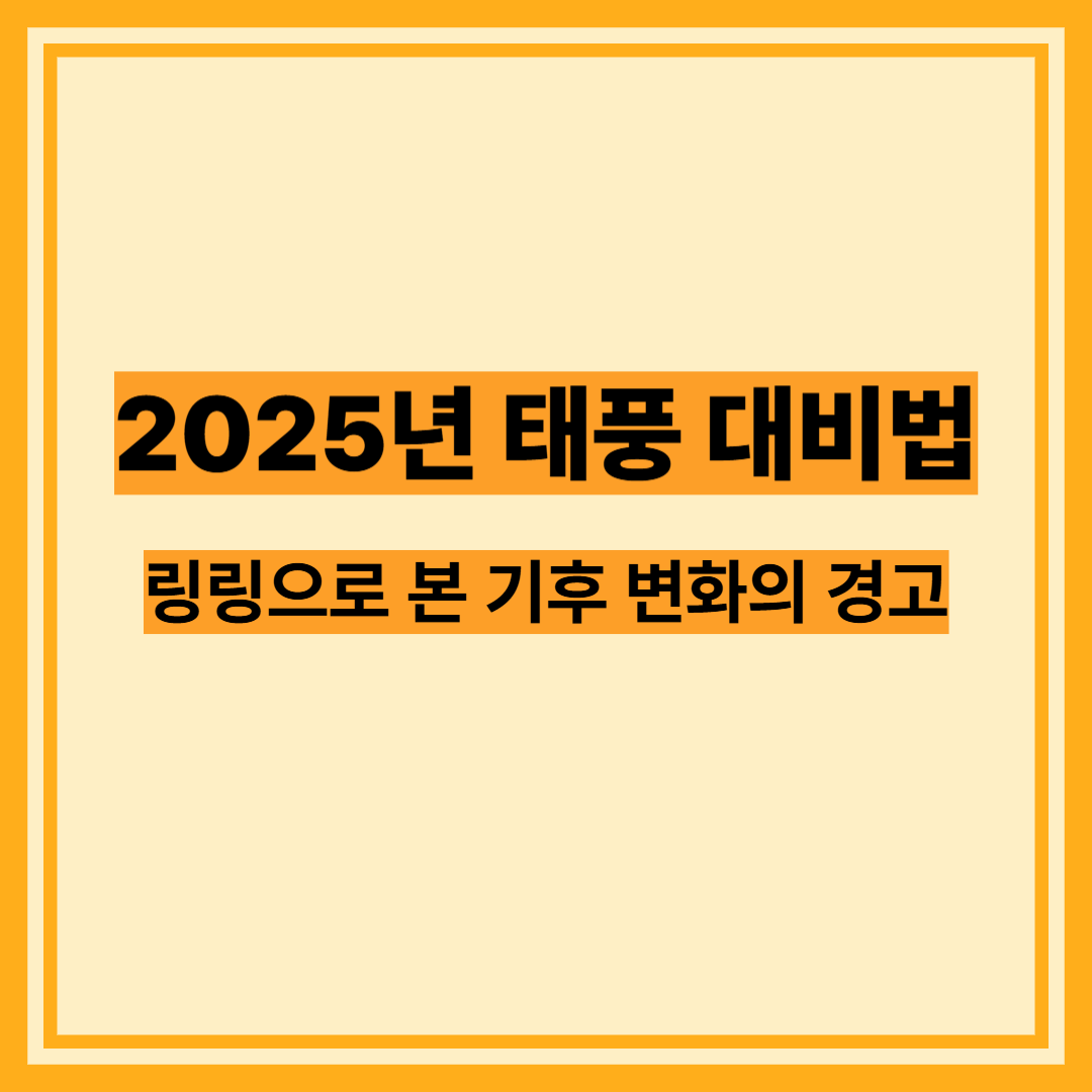 2025년 태풍 대비법 (+ 링링으로 본 기후 변화의 경고)