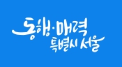 서울 디딤돌 소득