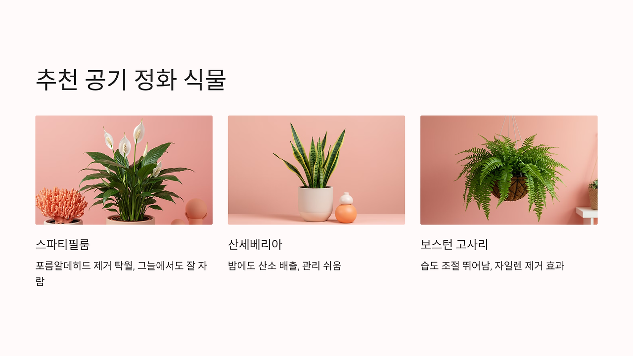 추천 공기 정화 식물