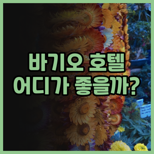 바기오 인기 호텔 파헤치기 더 오차드..