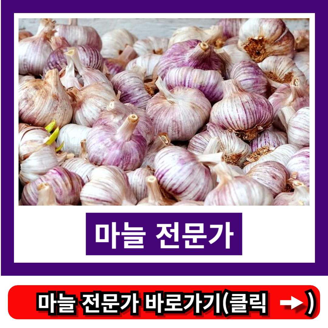 육쪽마늘