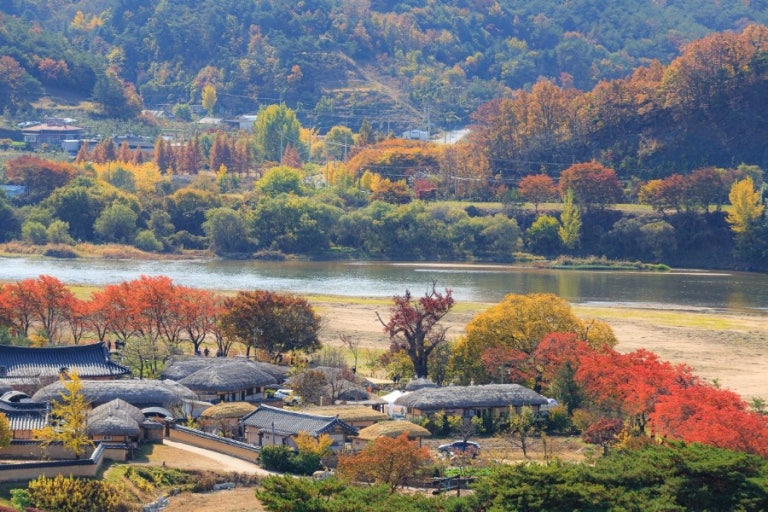 경북 단풍명소 TOP5 ❘ 가을 감성 가득한 산책 &middot; 여행 &middot; 드라이브 코스 추천 관련 사진