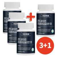 프로테오글리칸 콘드로이친 프리테오글리칸 콘도로이친 600mg, 60정, 4개