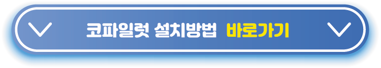 코파일럿-설치방법