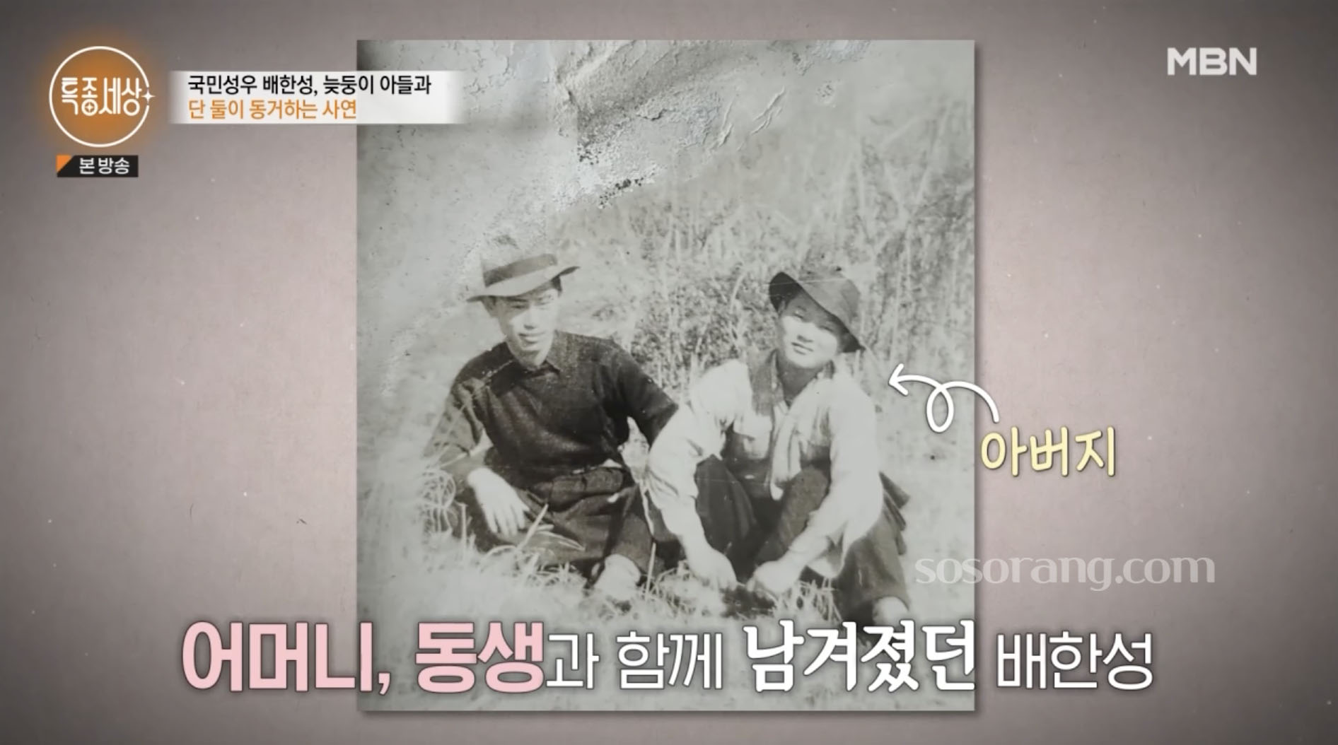 성우 배한성 가족과 어린 시절 관련 글 이미지