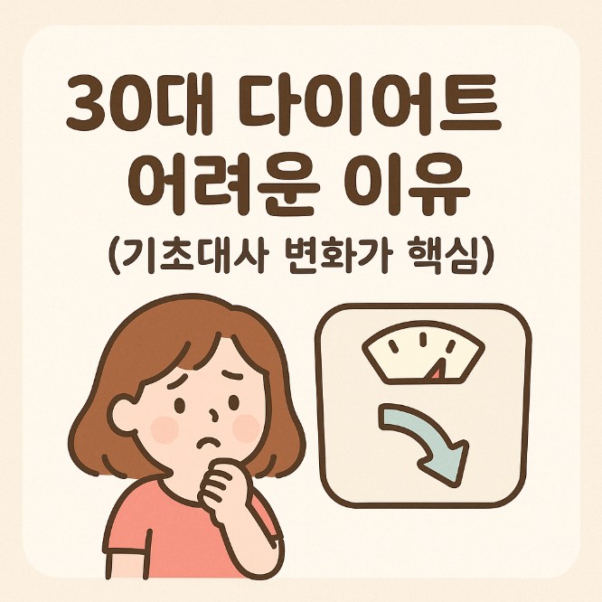 30대 다이어트, 기초대사