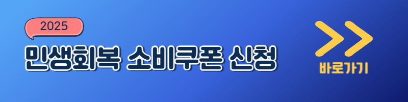 민생회복 소비쿠폰 정보