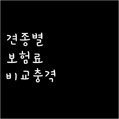 견종별 강아지 보험료 말티즈 포메라니..
