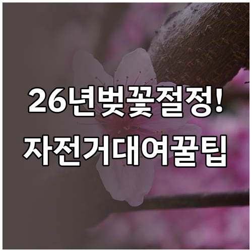 2026 삼락생태공원 벚꽃 절정 시기..