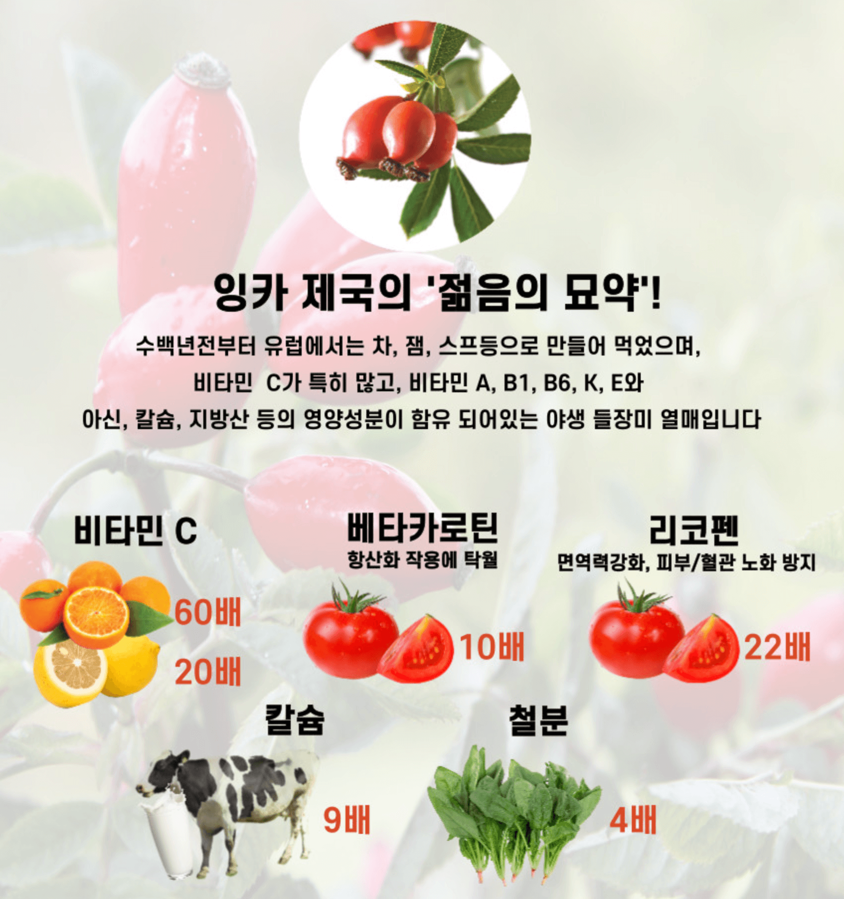 라이토플렉스-성분