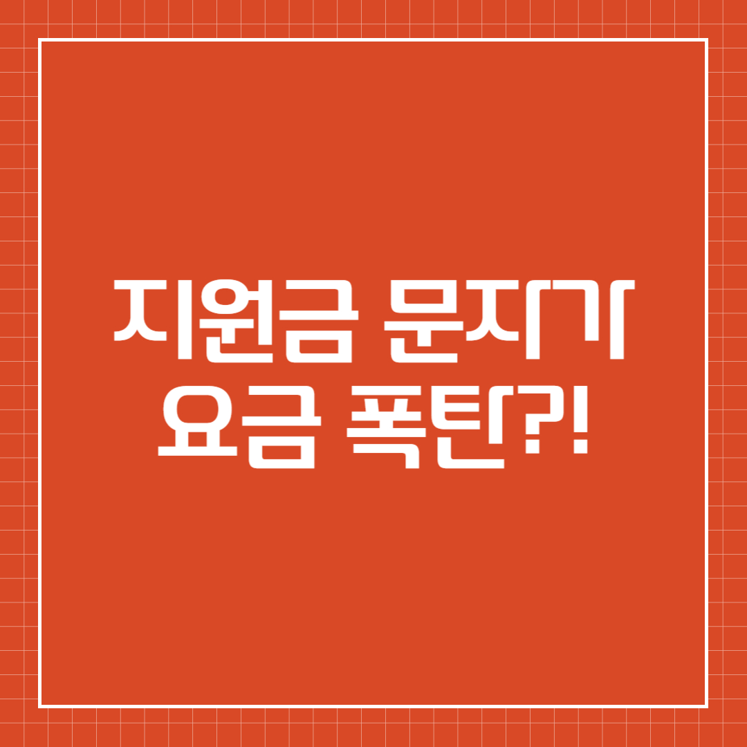 지원금 문자가 요금 폭탄?!