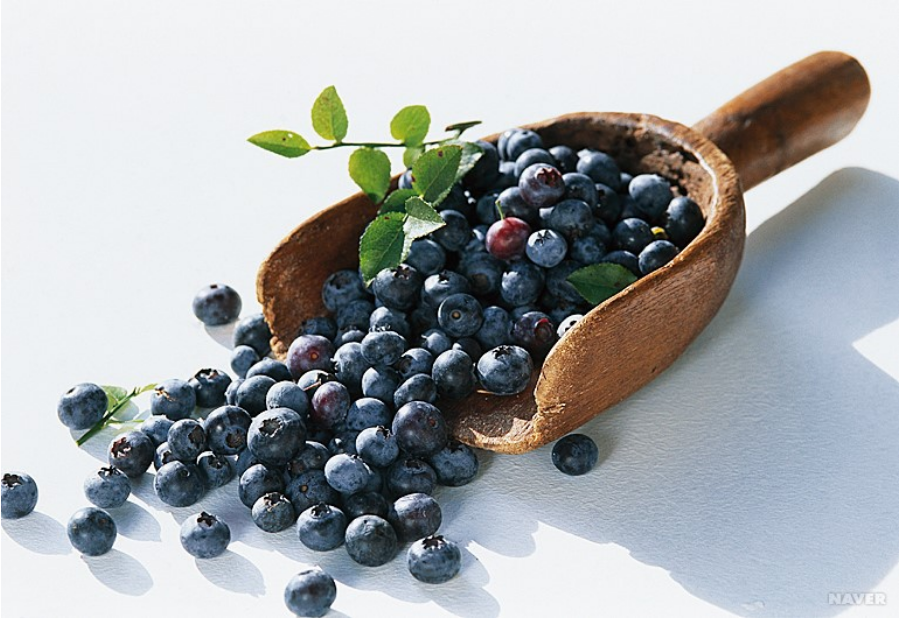 가을-제철-과일-블루베리