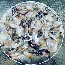 홍성남당항 새조개축제 기본일정과 프로그램 및 초대가수 소개(박서진,임선택, 전미경 출연)