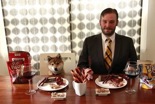 펫 푸드 테스터