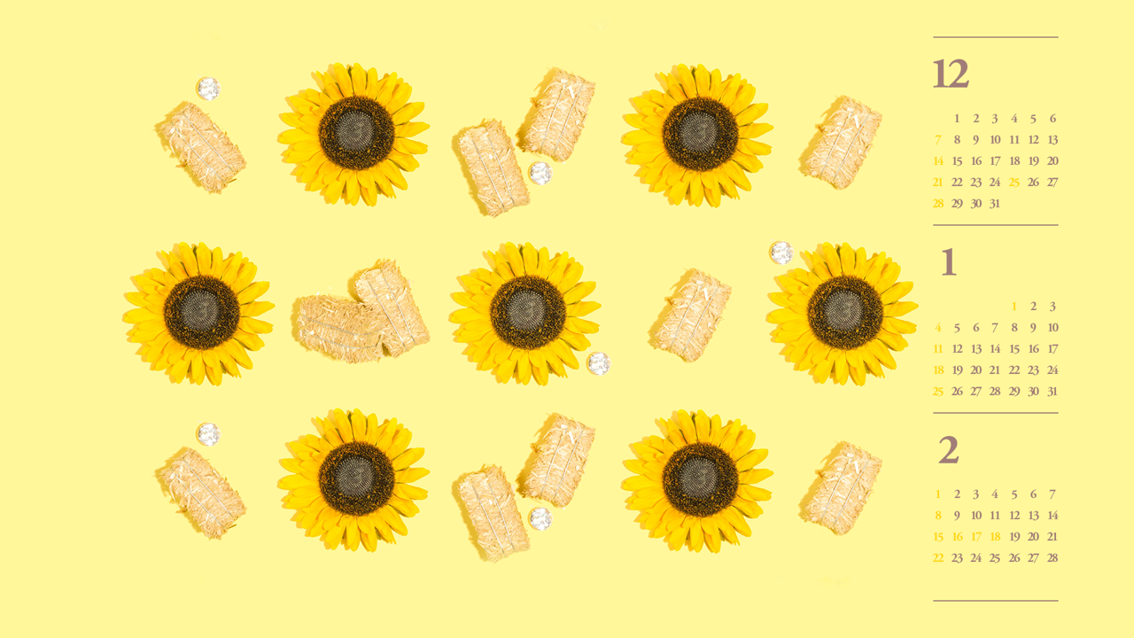05 7개의 해바라기 B - 2026년1월 달력배경화면