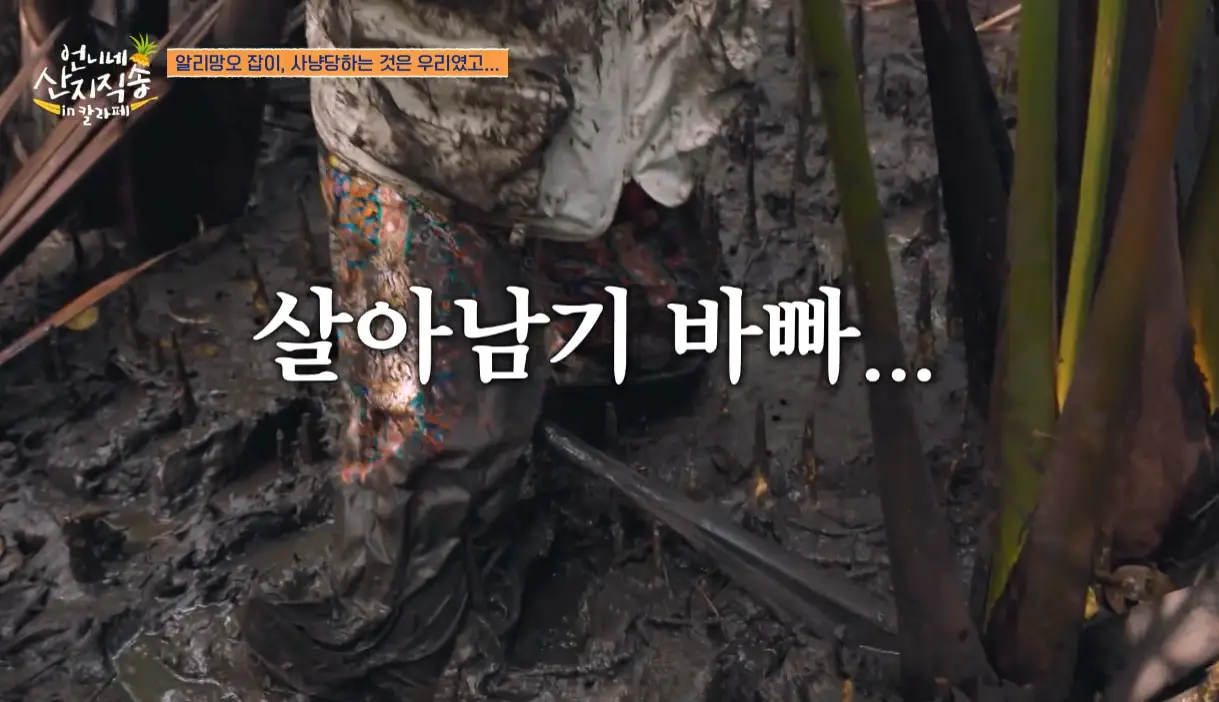 언니네 산지직송 칼라페 공식영상 장면