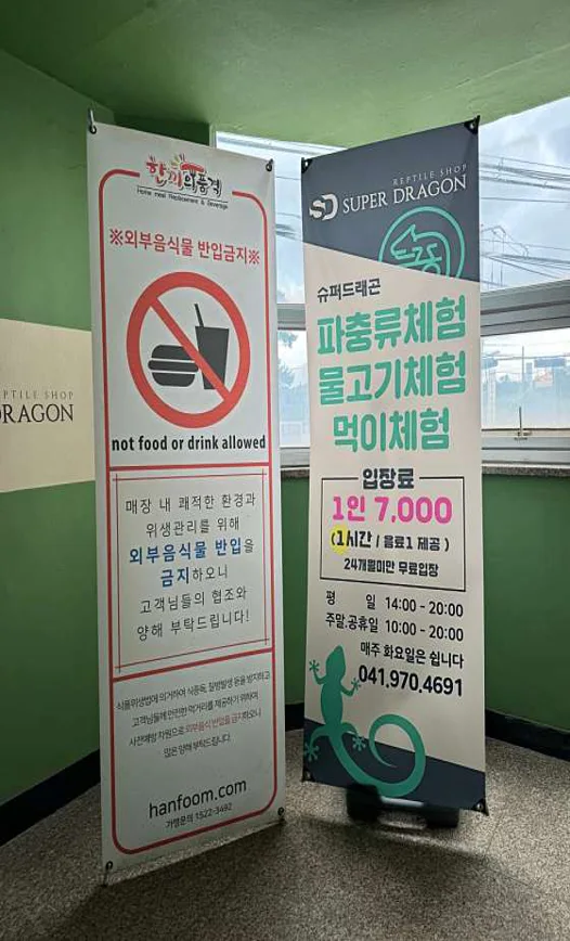 슈퍼드래곤